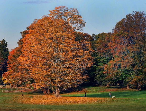 11. Массачусетс, США (David L. Ryan)