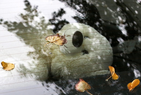 17. Минск, Белоруссия (Tatyana Zenkovich)