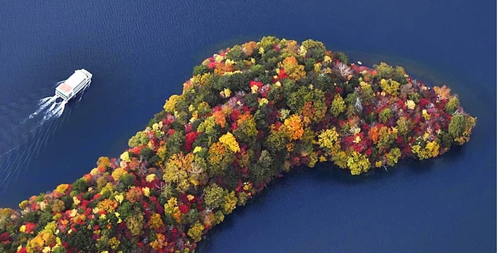 Эти 39 снимков позволят вам полюбоваться уходящей осенью в разных концах света