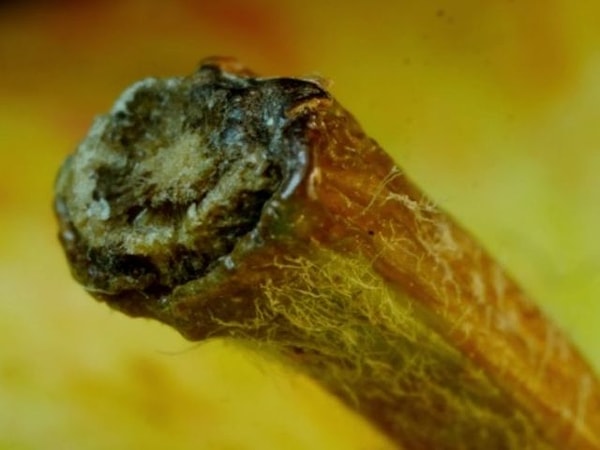 5. Спорим, не угадаете?