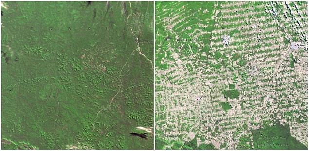 7. Forests in Rondonia, Brazil. June, 1975 — August, 2009