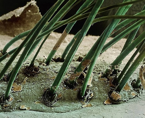 10. Не самое приятное зрелище, не так ли?