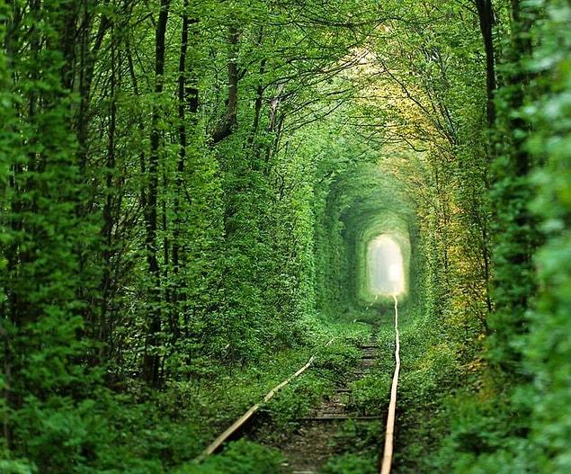 3. Tunnel of Love, Klevan, Ukraine