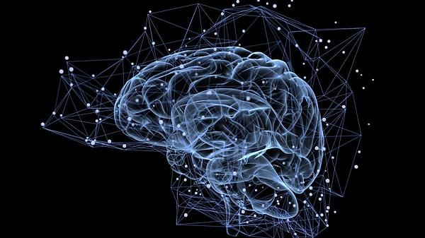 Bilim insanları, yeni geliştirilen beyin görüntüleme teknolojileri ile artık insan beynini daha önce hiç olmadığı kadar ayrıntılı biçimde gözlemleyebiliyor.