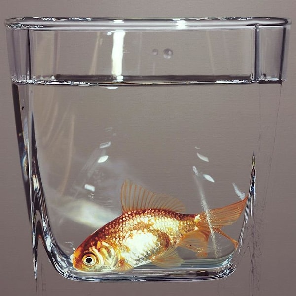 12. Масло, Янг-Сунг Ким