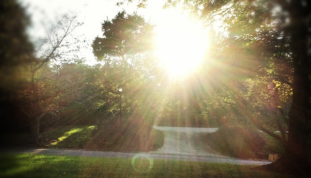 Ve Güneş seyrinin göz sağlığında olumsuz bir etki yaratmadığı yapılan deneylerle kanıtlandı.