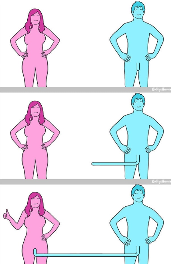 7. Моллюски: