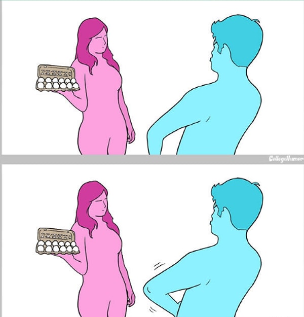 8. Яйцеклетки и сперма лягушек встречаются в воде: