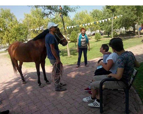 Kocasinan ilçesi Cırgalan Mahallesi'ndeki arazide başıboş bir atın dolaştığı yönünde ihbar geldi. İhbarı değerlendiren ekipler, söz konusu yerde "Hazal"ı buldu.