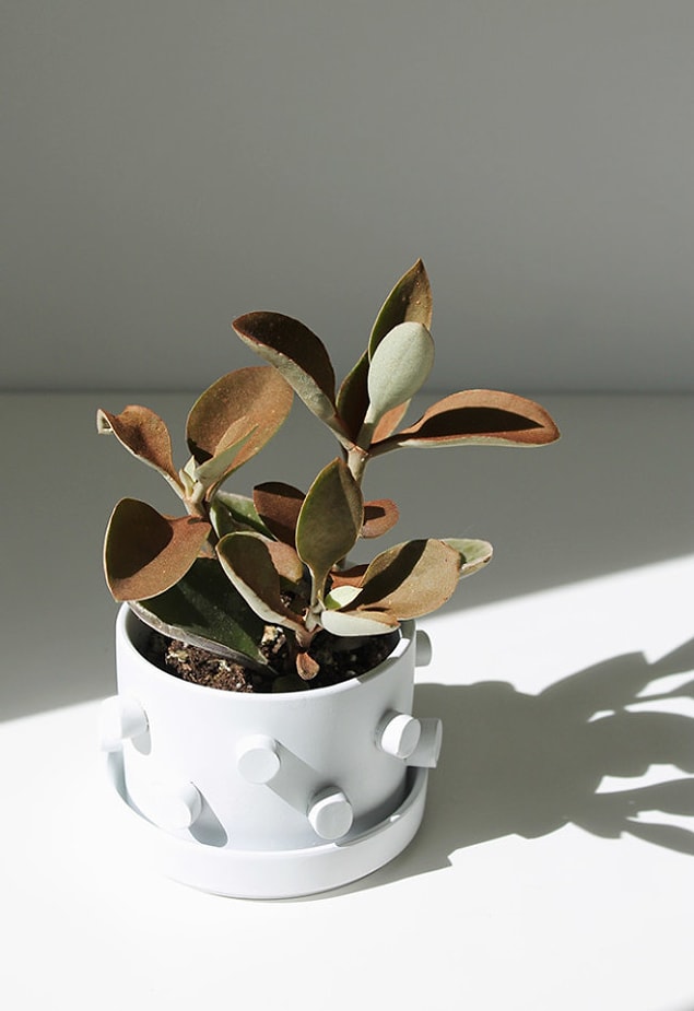 6. Tiny details are the key part of making your home beautiful.