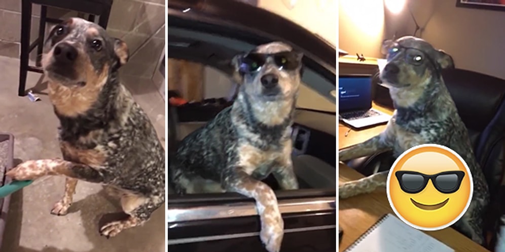 Mannequin Challenge'ın Tartışmasız En İyi Performansı