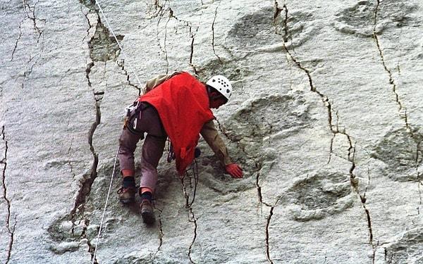 11. Bolivya'da bulunan bir kireç taşı falezinde, 68 milyon yıl öncesine dayanan 5,000 kadar dinozorun ayak izi bulunmuştur.