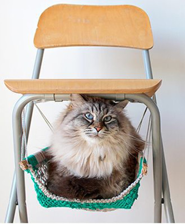 Birakin Miril Miril Uyusun Evdeki Ivir Zivirla Yapabileceginiz 17 Yumusacik Kedi Yatagi