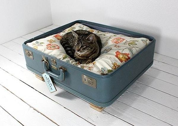3. Eski bavullarınız ise yumuşacık bir kedi yatağına dönüşürken odanıza da retro bir hava katacak.
