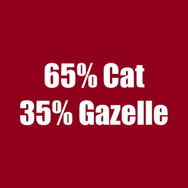 65% Cat 35% Gazelle!