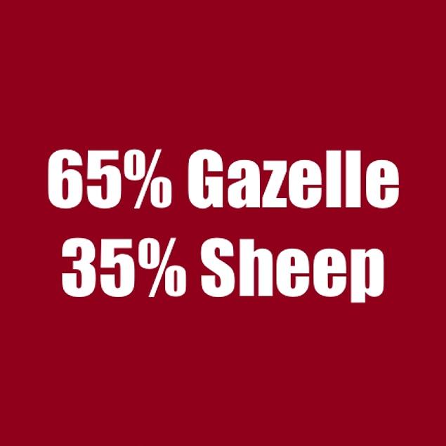 65% Gazelle 35% Panda!