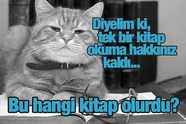 9. "Tek Bir Kitap Okuma Hakkın Kalsa Hangi Kitabı Okurdun?" Sorumuza Gelen 22 İlginç Cevap