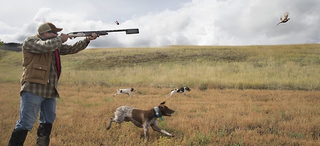 7. Hunting