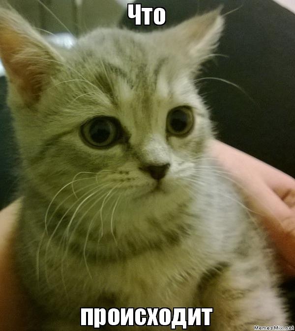 18. "Мне позвонили и спросили, как там мой сын. И тут я испугалась: я вообще не помнила, где оставила его в последний раз. Я обыскала всю квартиру, но не могла его найти. И только проревевшись с полчаса, я поняла, что отвела его в детский садик"