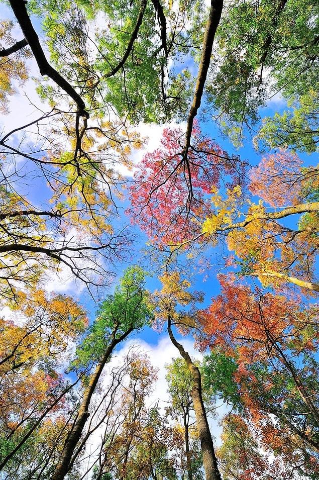 6. The beautiful colors of the autumn