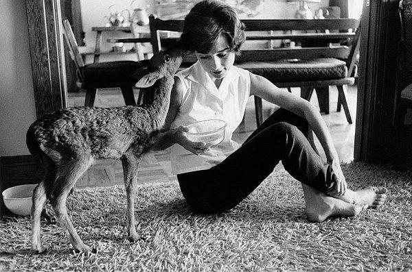 16. Tuhaf hayvan besleme geleneği Hollywood'da oldukça eski aslında... İşte iki güzellik: Audrey Hepburn ve minik ceylanı!