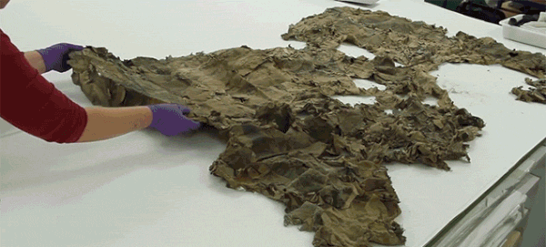 Ağır Hasar Alıp Restore Edilen 17. Yüzyıldan Kalma Harita