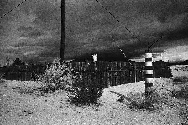 9. ''At ve Çit'' Mojave Çölü, Kaliforniya - 2002