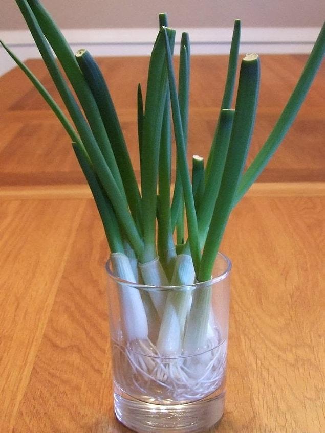 15. Green onions can make cute flowers!