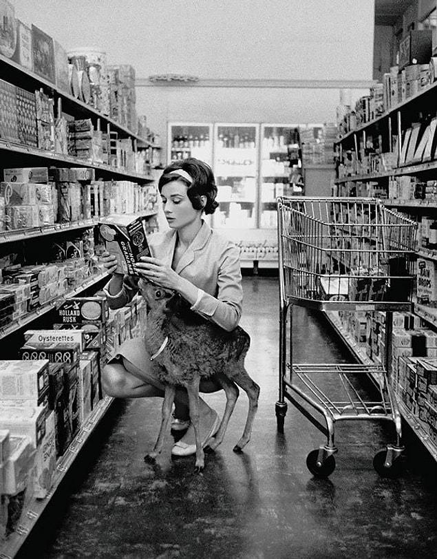 19. Audrey Hepburn Shopping With Her Pet Deer “ip” In Beverly Hills, Ca, 1958