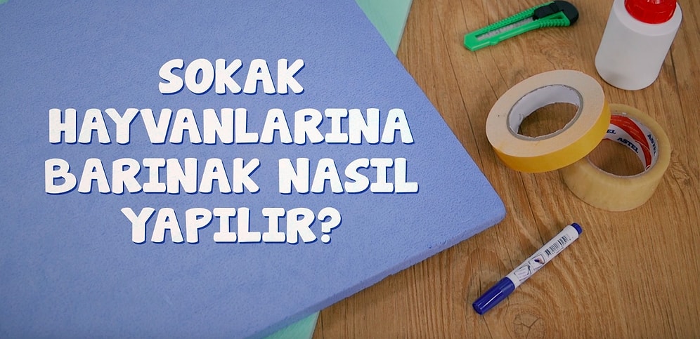 Sokak Hayvanlarına Barınak Nasıl Yapılır? Hem Kolay Hem Ucuz!