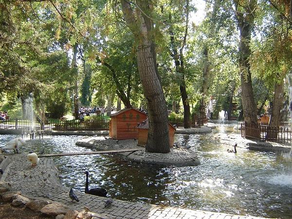 3. Kuğulu Park'a gitmek ise sadece Çankaya'da yaşayanlar için değil, bütün Ankaralılar için şehirde yapılabilecek en güzel rehabilitasyon yöntemlerinden biridir.