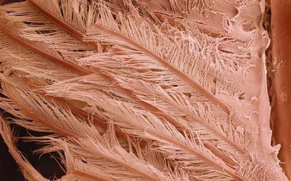 10. И последний вопрос: