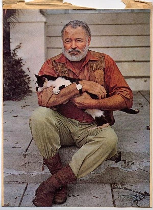 14. Ernest Hemingway: "İyi geceler, yavru kediciğim."