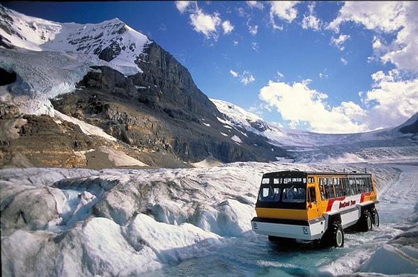 4. Athabasca Buzulu, Jasper Milli Parkı, Alberta