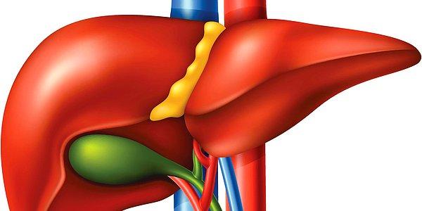 8. Eğer Karaciğer Kendini Yenileyebiliyorsa, İnsanlar Neden Karaciğer Yetmezliğinden Ölüyor?
