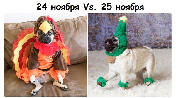 5. И вы становитесь предвестником Нового года!