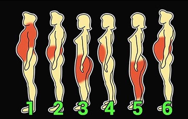 Senin vücudundaki fazlalık hangisine benziyor?