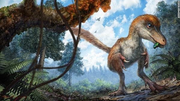Sürüngenler sınıfında bulunan dinozorda tüyler ne arıyor?