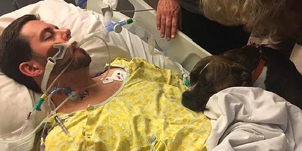 Sadık Köpeğin Ölüm Döşeğindeki Sahibine Veda Edişi Kalpleri Dağladı!