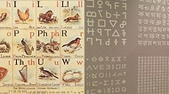 "İngilizce Öğrenmek Zor Geliyor" Diyenlere Gelsin! Dünyanın Öğrenmesi En Zor 25 Dili