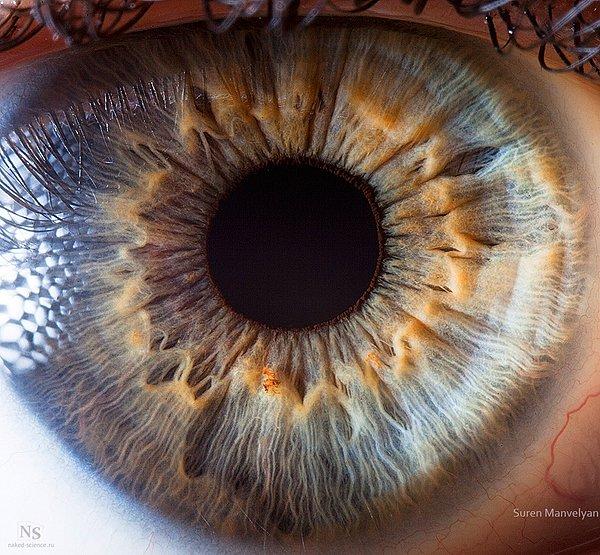 15. İnsan gözünün yakından çekimi sonucu iriste ortaya çıkan belirgin farklar