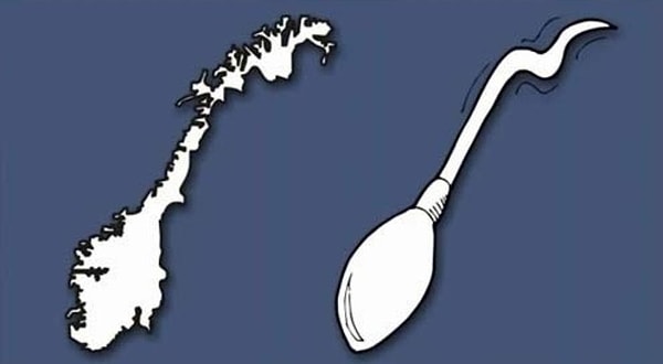 4. Эту страну она представила в виде спермотазоида.