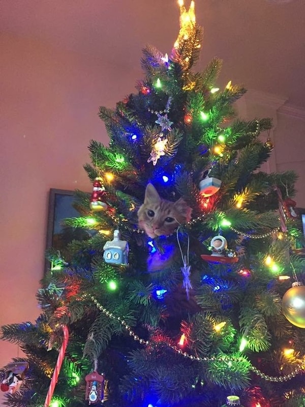 1. Лучше всего отказаться от мишуры и новогодних "дождиков".