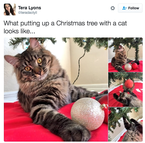 4. Отдавайте предпочтение искусственным ёлкам