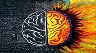 Bu 'Görsel IQ' Testine Göre Beyninin Hangi Tarafını Daha Çok Kullandığını Söylüyoruz!