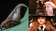Keşfedildiği An Seçmen Şapkaya Benzerliği Fark Edilen Esrarengiz Gryffindor Örümceği
