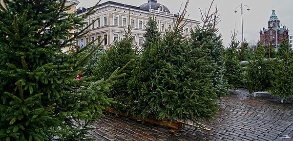 4. Продавец на елочные базары