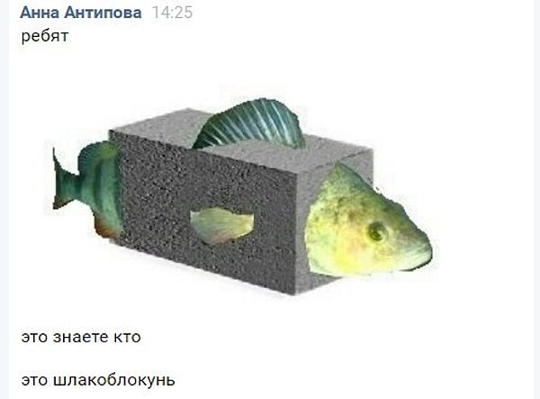 8. Шлакоблокунь