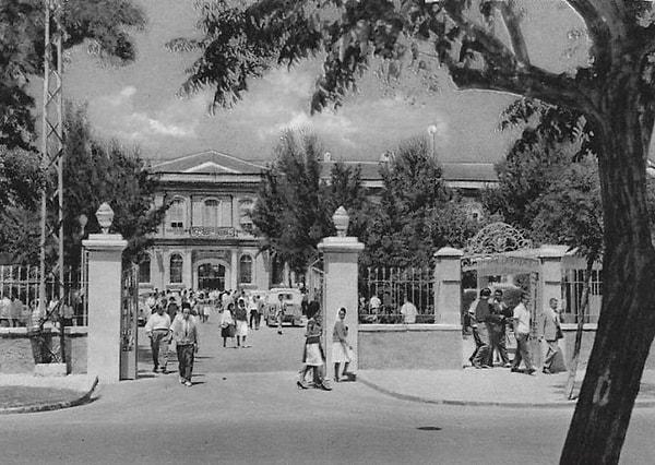 1950 yılında çekilen bu fotoğraf, Şam Üniversitesi Hukuk Fakültesi'nin dışındaki kadın öğrencileri gösteriyor.