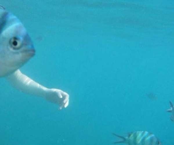 22. Та-даам! Не ожидали?